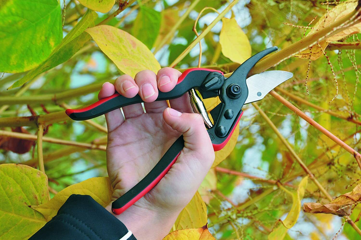 Источник изображения: https://www.amazon.com/