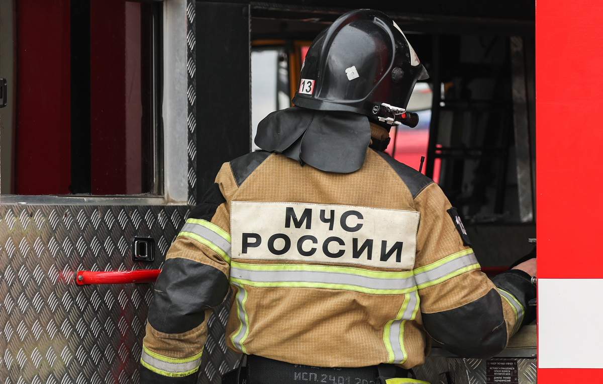 Эрик Романенко/ТАСС, архив
