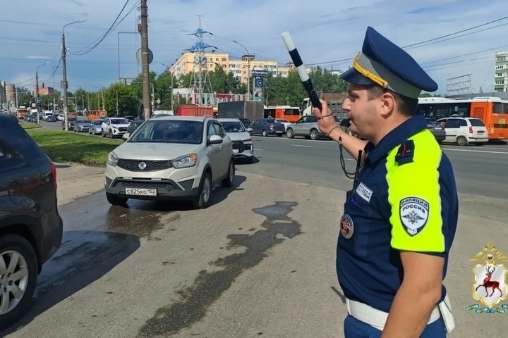     Фото: ГУ МВД России по Нижегородской области