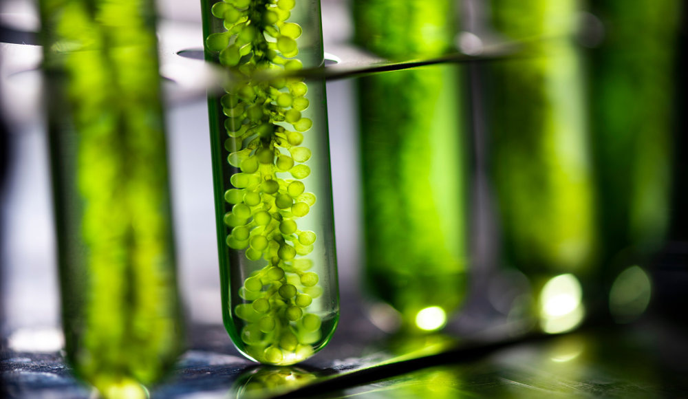    Фото: istockphoto.com