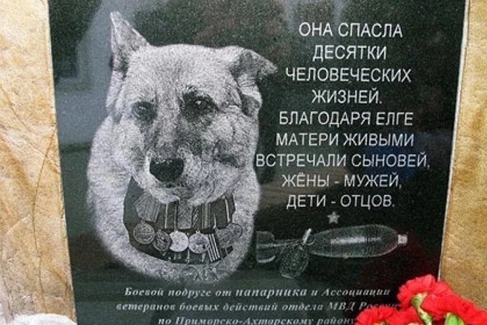    Необычный памятник собаке, спасшей десятки людей, появился в кубанском городе Приморско-Ахтарске. / Пресс-служба ГУ МВД РФ по Кубани