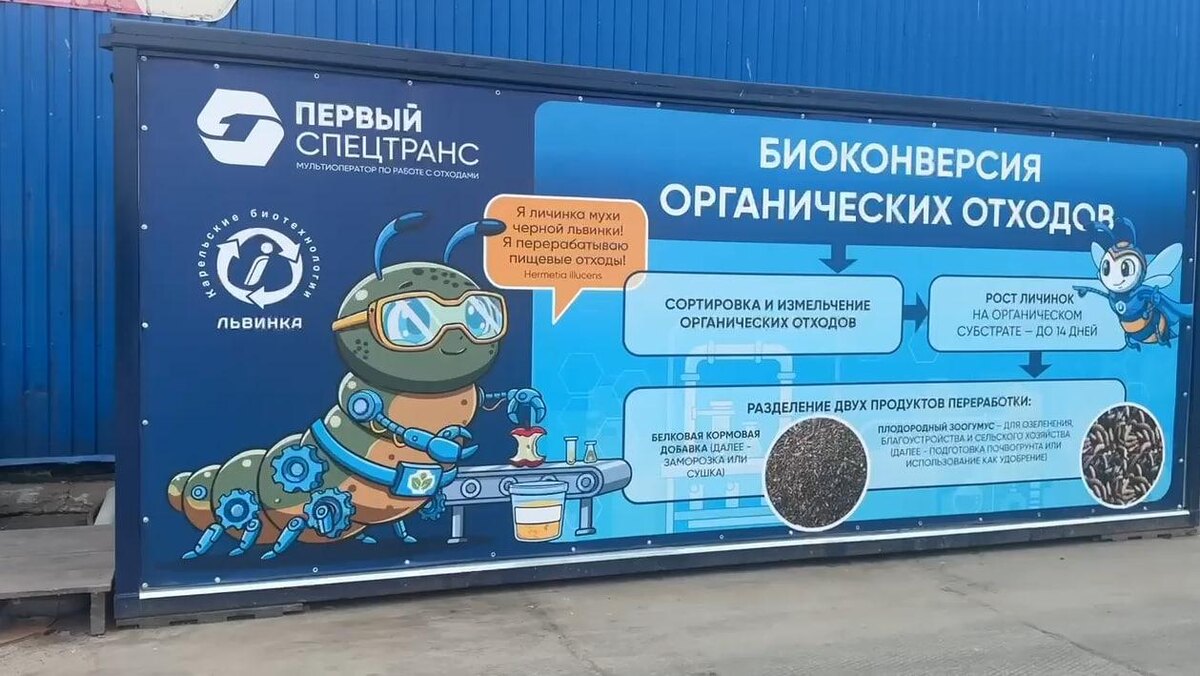    Фото: комитет по природопользованию Петербурга
