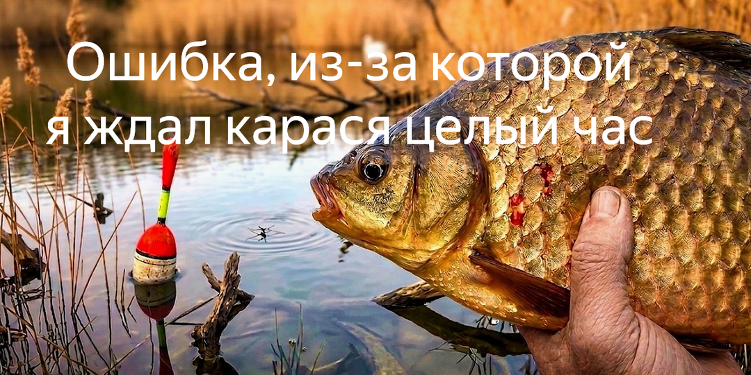 Целый час я смотрел на неподвижный поплавок и был уверен, что карась ушел. Но опытный рыбак показал мне ошибку, которую я не замечал годами