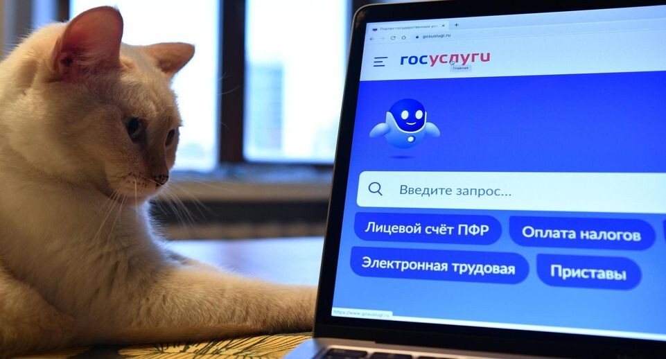    РИА «Новости»