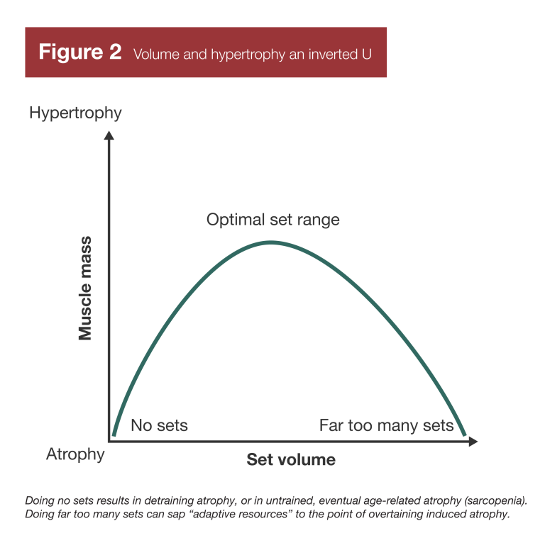 взято с https://massresearchreview.com/2023/05/22/a-progression-framework-for-hypertrophy/