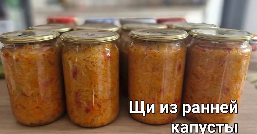 Много лет делаю эту заготовочку на зиму. Щи из ранней капусты.