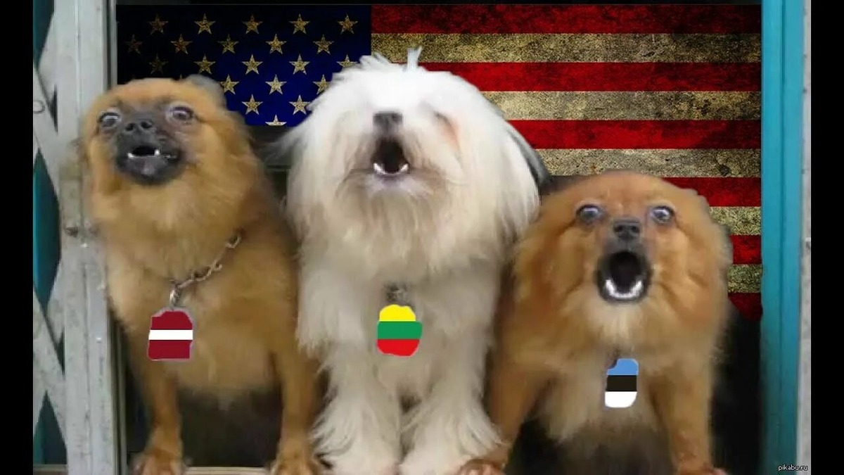-3