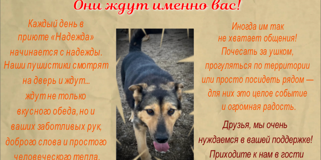 Ваше присутствие — это не просто помощь, это частичка счастья для каждого нашего подопечного.