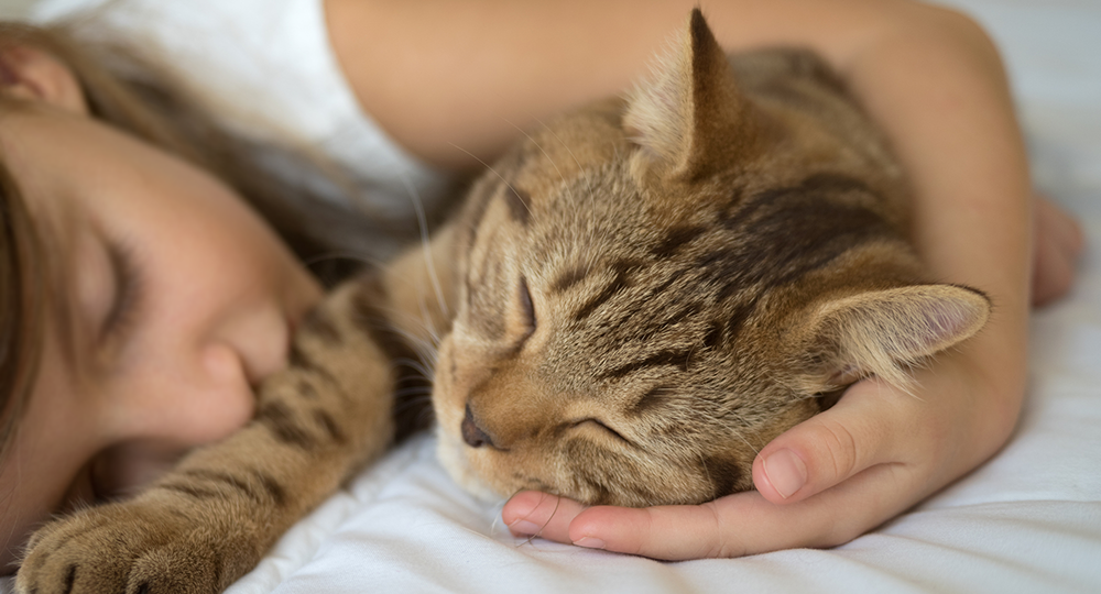 😻 Почему кошка ночью спит с человеком