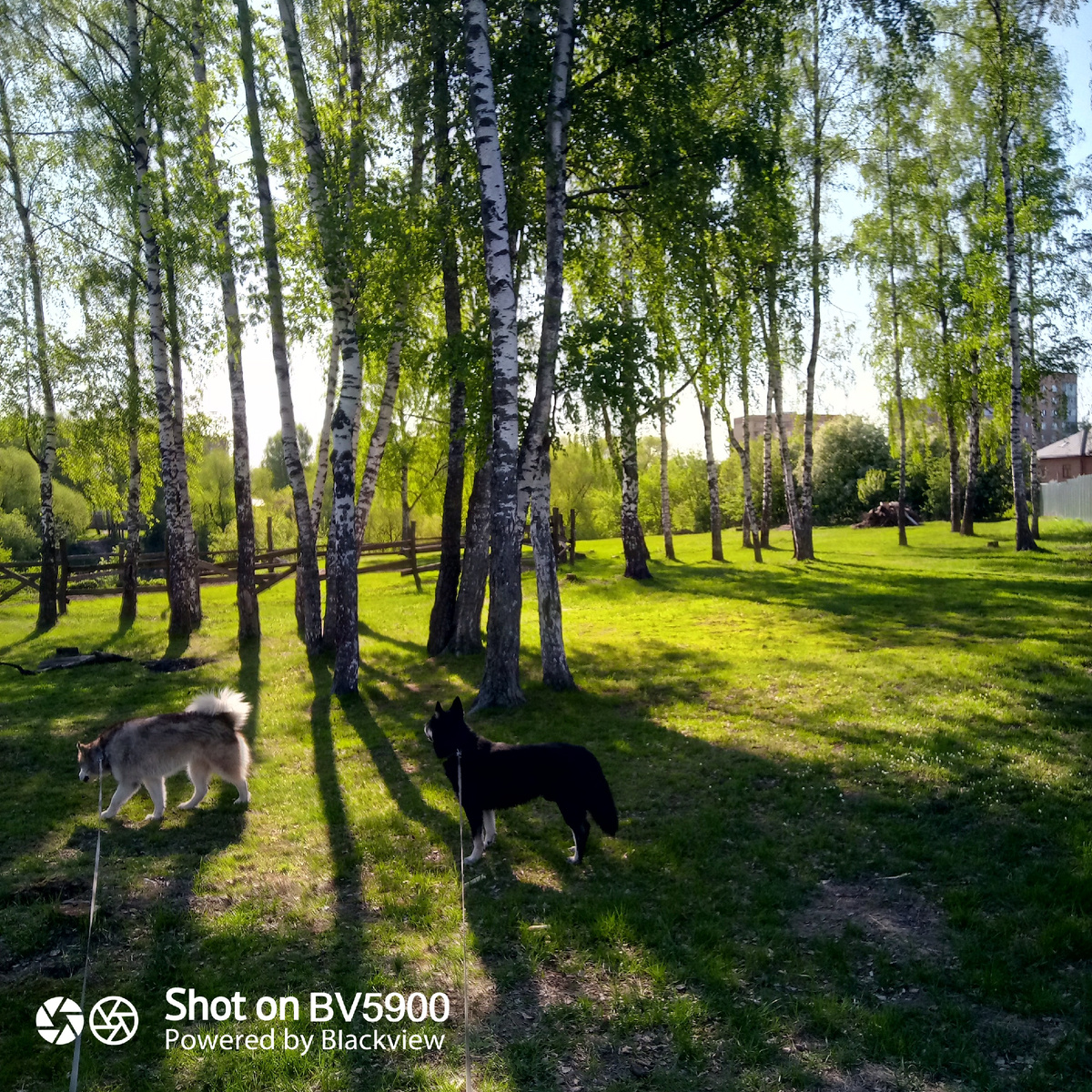 Рядом с храмом