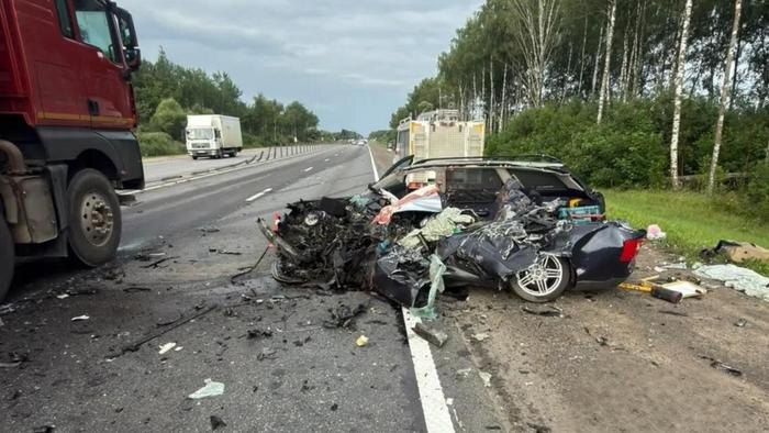 Обложка © Telegram / Подмосковная полиция