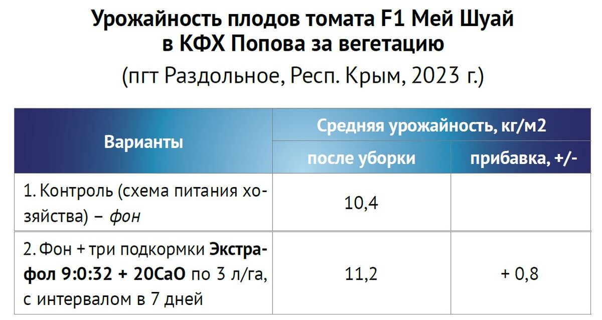 -6