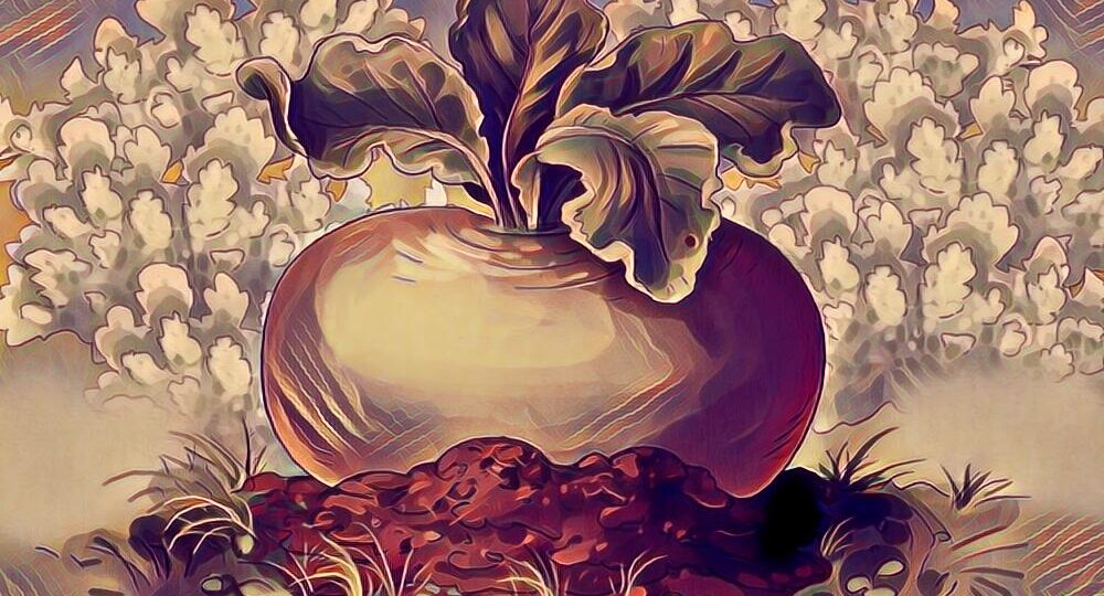 Плевальщики репы. Чем они занимались на Руси?