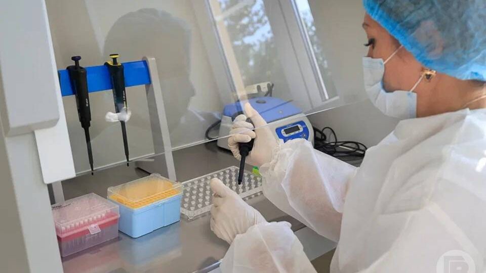Больше 9,5 млн лабораторных медисследований сделано в Волгоградской области