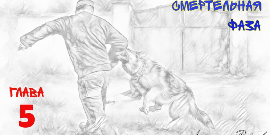 Смертельная фаза. Глава 5 (Текст)