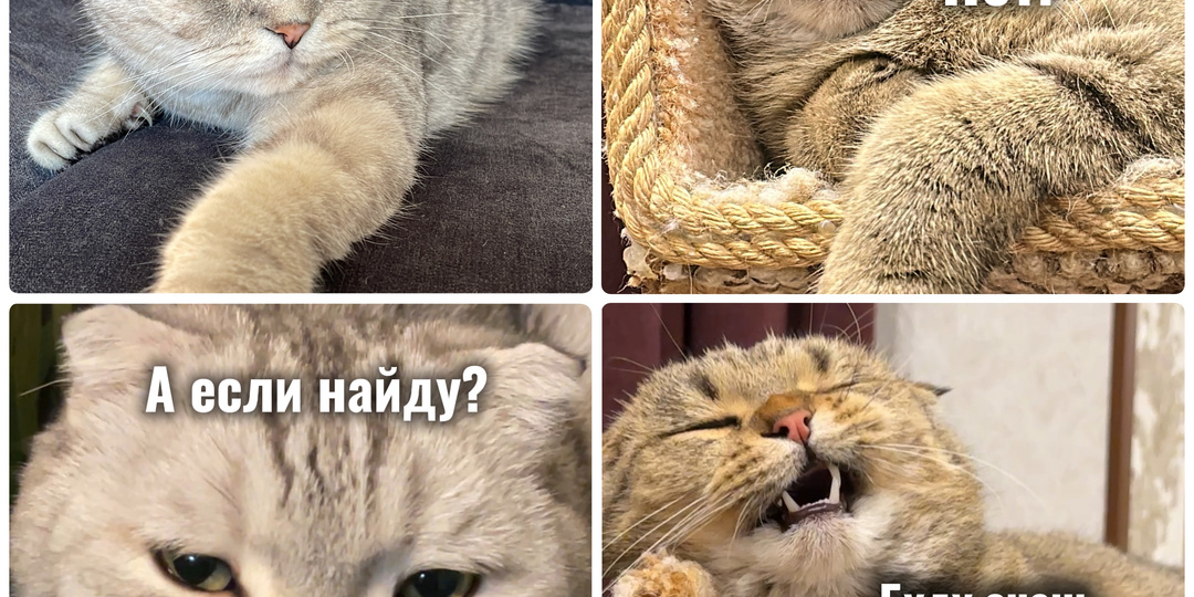 Не нашёл🤦‍♀️😂