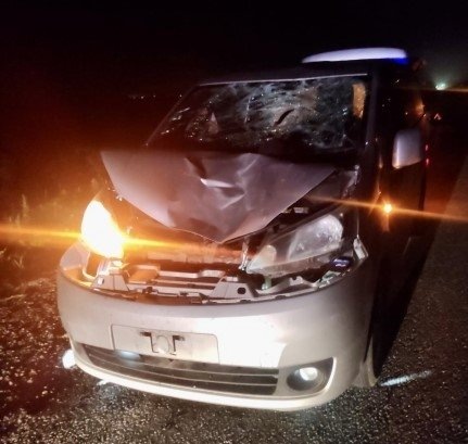 Пешеход погиб под колёсами автомобиля на трассе под Находкой