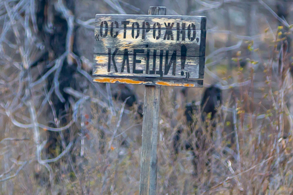   Ольга Шуклина