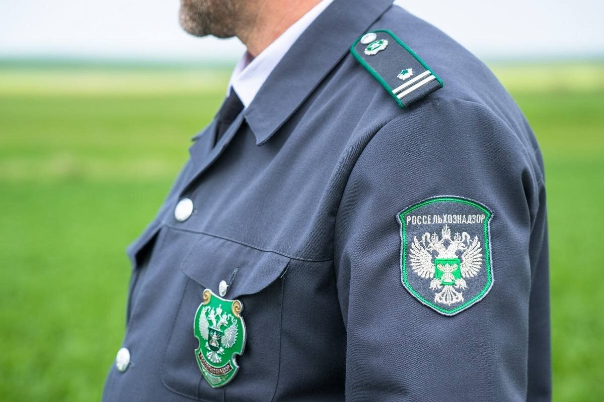    В ведомстве заподозрили реэкспорт армянской продукции через Исламскую Республику. Фото: atnya.vetob.ru