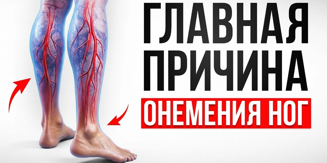 Немеют стопы? Не сосуды, а мышца, которую вы никогда не тренировали