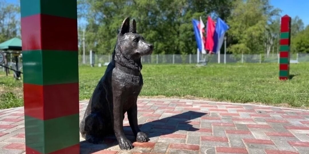 Собаки советских пограничников. Автор о том, как их использовали фашисты качестве трофеев.
