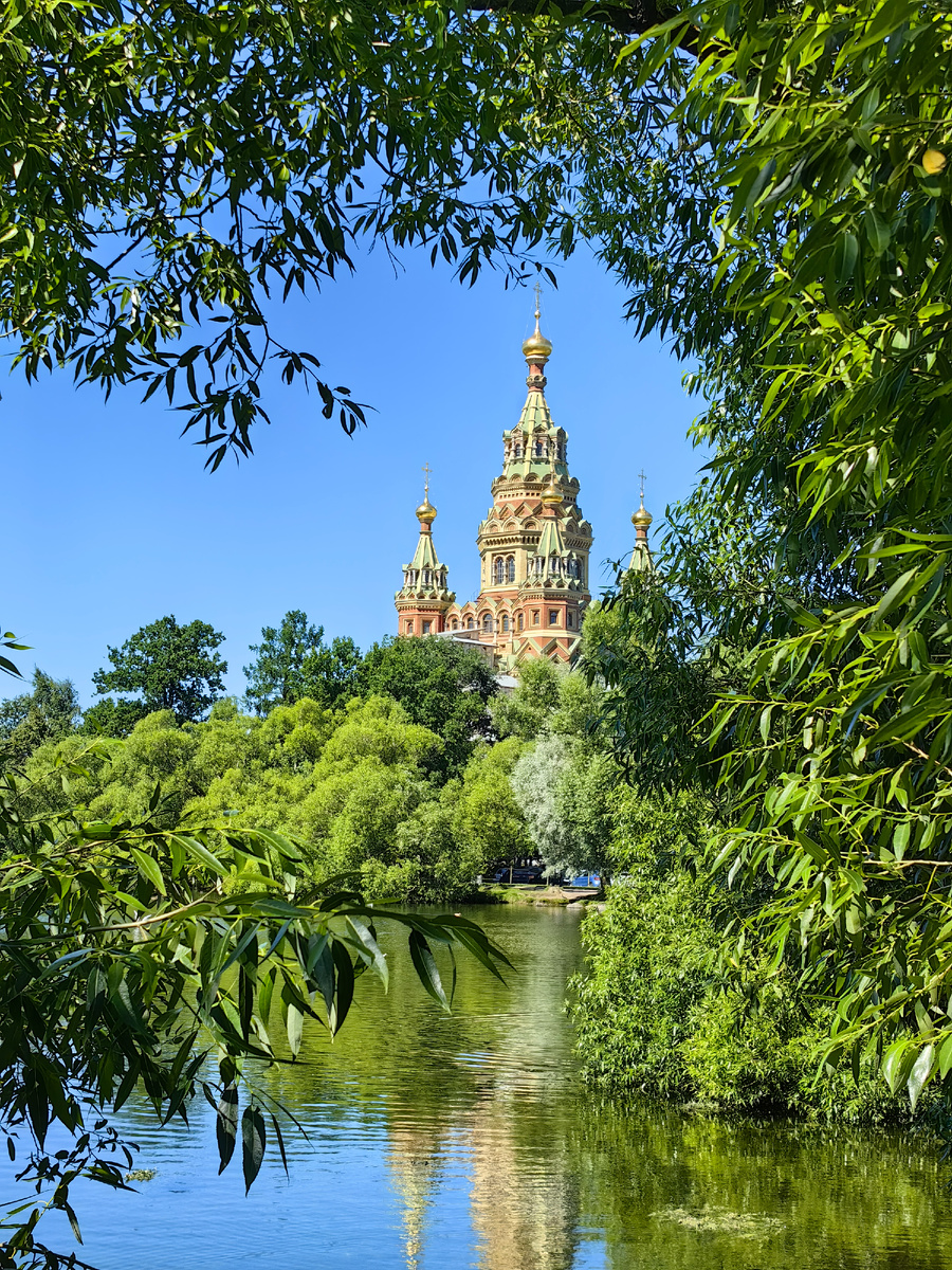 Все фото автора. Вид с берега Ольгиного пруда на Петропавловский собор. 