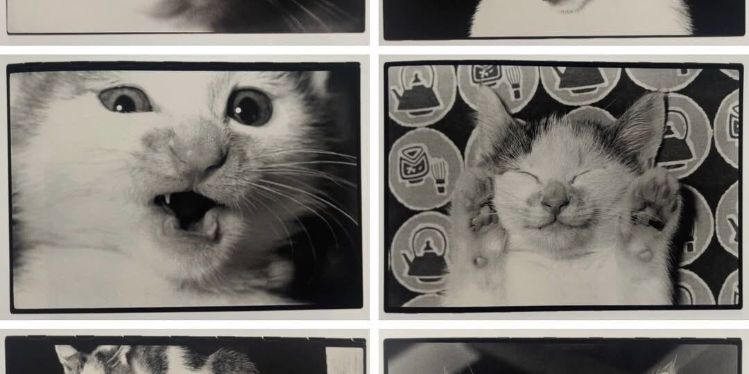 Фотограф ползал на коленях десять лет, чтобы сделать эти снимки и называл их автопортретом.