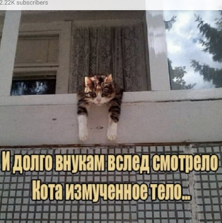 Воскресная пирожковая