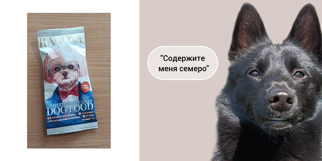 Обзор корма для собак стоимостью 8000 за килограм.