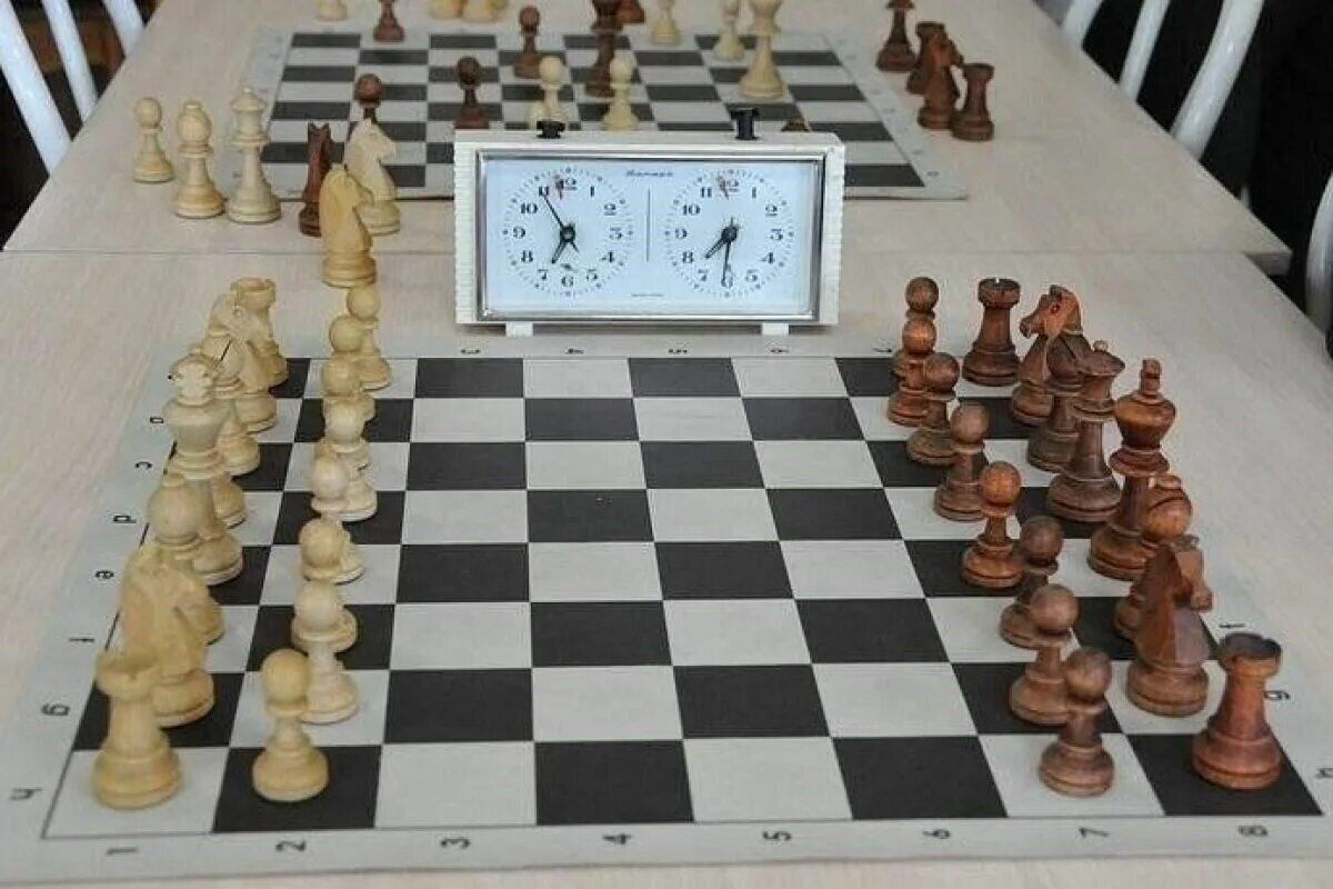    Армянские шахматисты выиграли Irakli Lolua Cup. Фото: kamchatka.er.ru