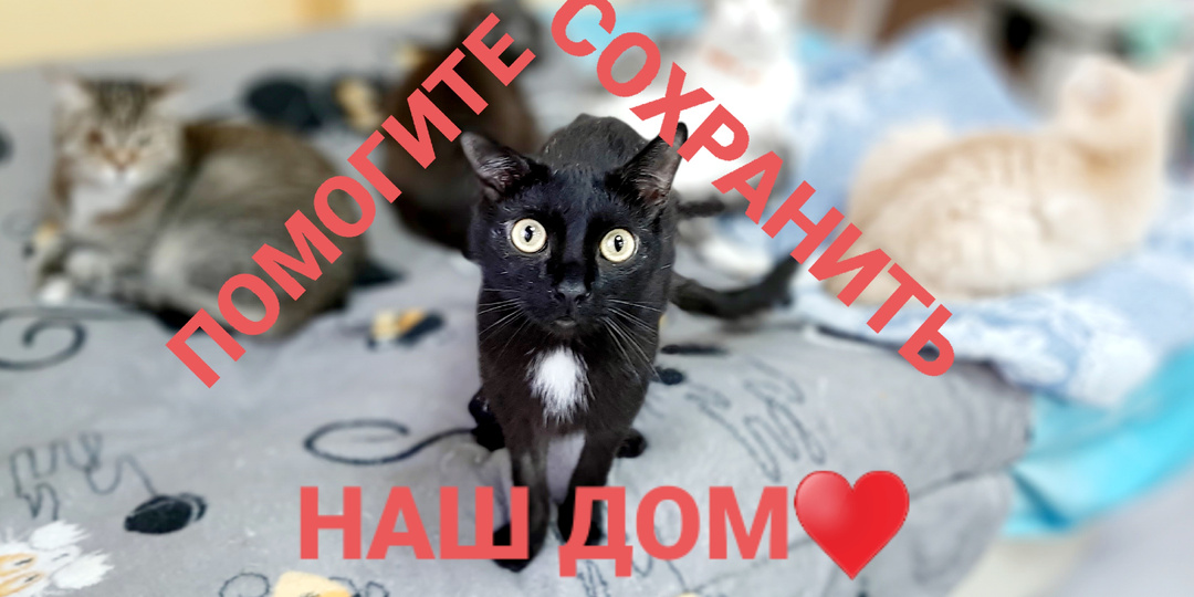 Помогите сохранить дом🙏 аренда и коммуналка