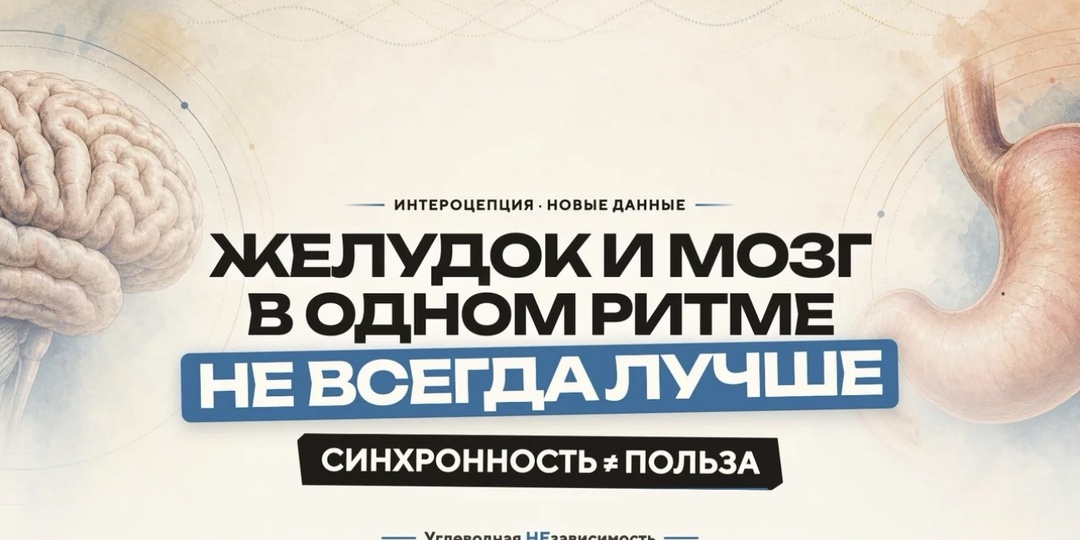 Желудок и тревога: почему сильная связь с мозгом — не всегда хорошо