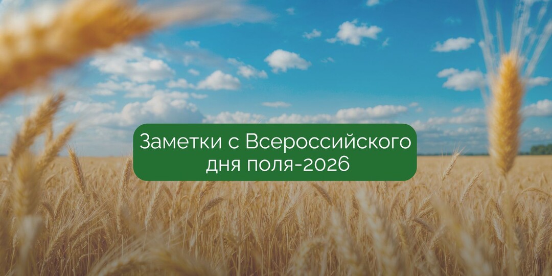 День поля без иллюзий: что меняет ситуацию в хозяйстве уже сейчас