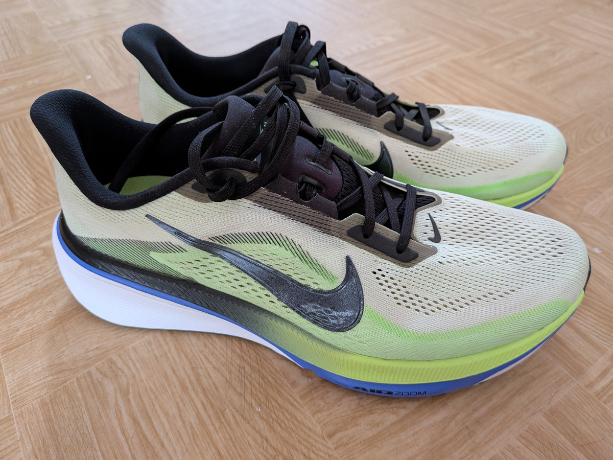 Nike Pegasus 42
