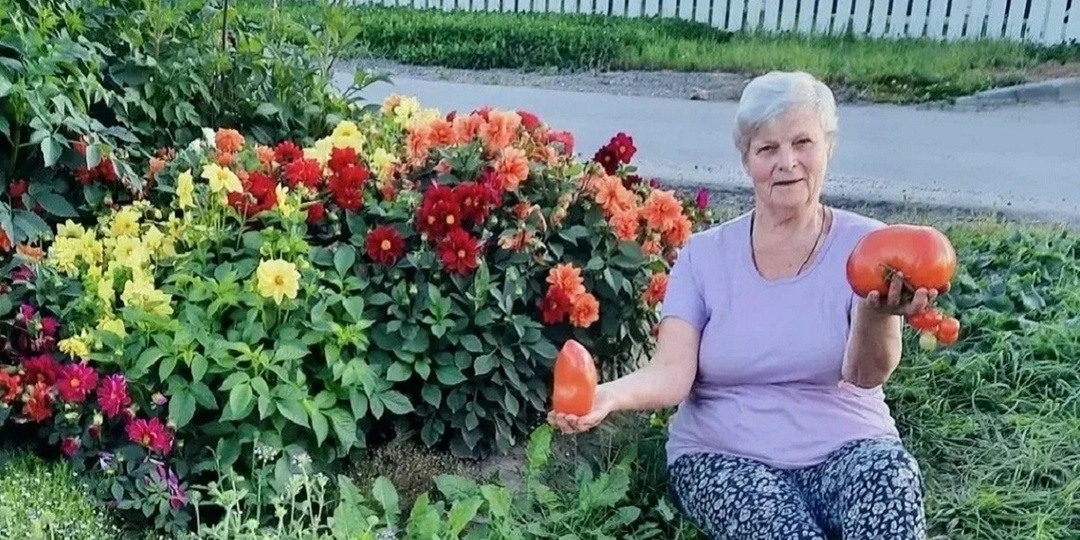 Правила двух листьев: нижегородка Марина Веретенникова поделилась секретами урожая помидоров