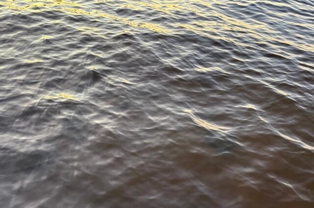    Высокий уровень воды в Туре продолжают удерживать осадки в соседних регионах, откуда берет свое начало сибирская река. Фото: АиФ/ Юлия Францова
