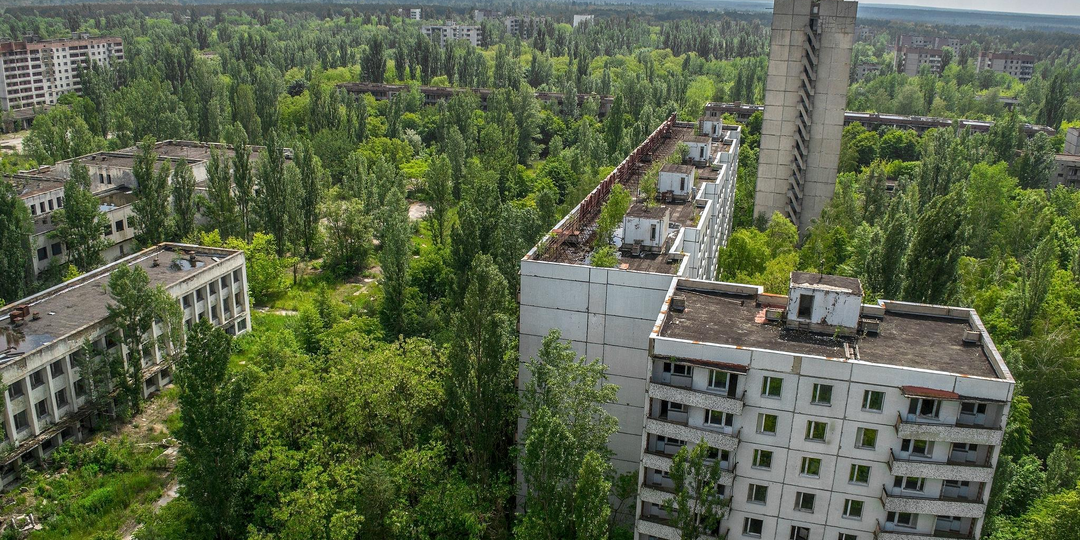 Что находят в Чернобыльской зоне спустя 40 лет: факты, которые сложно объяснить