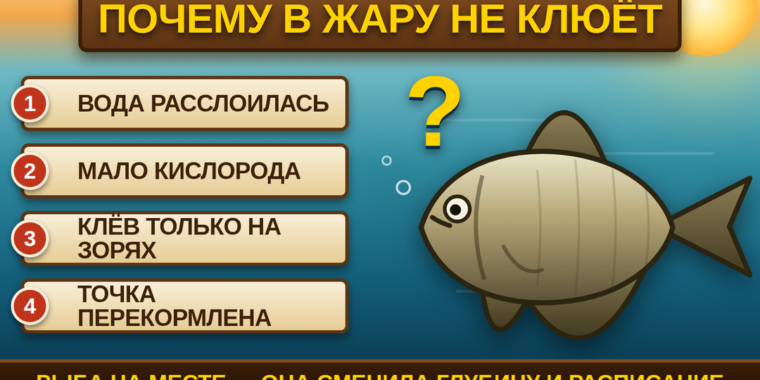 Почему в жару не клюёт — реальные причины, о которых редко говорят