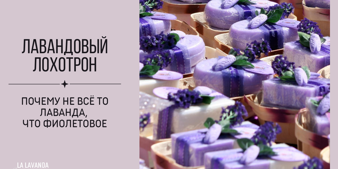 Лавандовый лохотрон или Почему не всё то лаванда, что фиолетовое