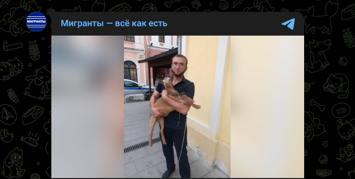 Фото: Telegram-канал "Мигранты - всё как есть"