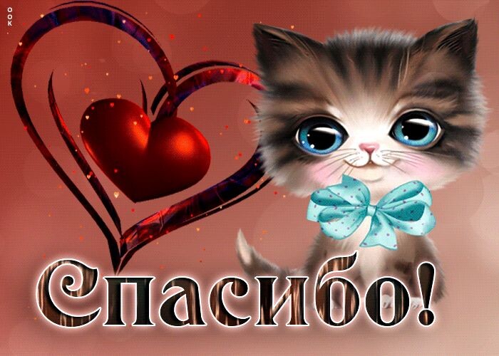 Спасибо за ваши добрые сердца💕