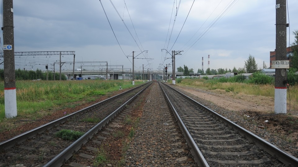 В Петербурге осудили мужчину за кражу табличку с поезда и стрельбу в вагоне