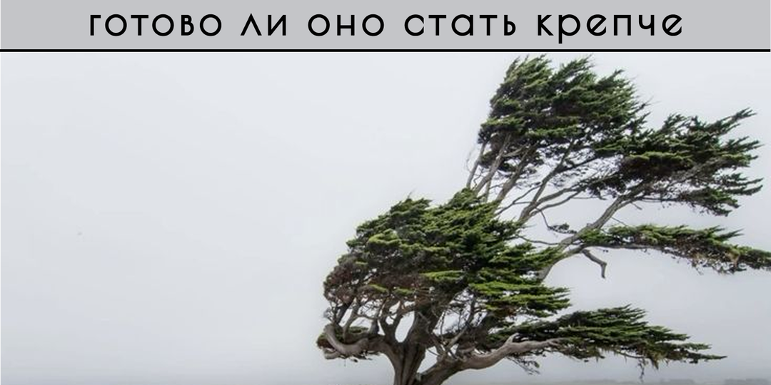 Держим удар: как испытания формируют нас. 🤛