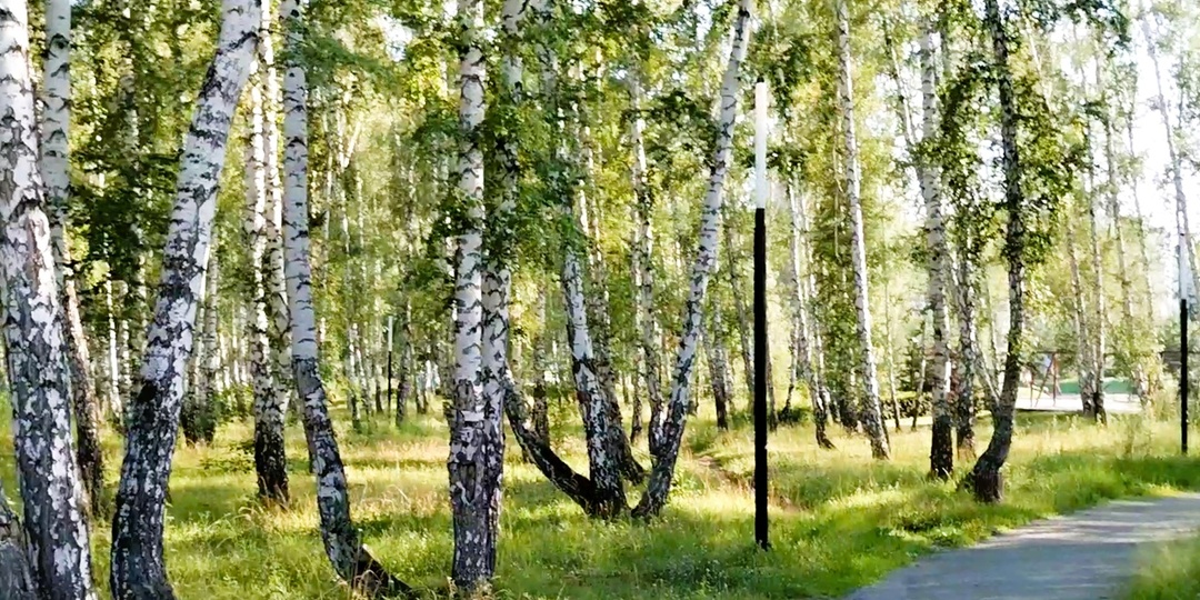 Природа Челябинска: кусочек свежести в мегаполисе