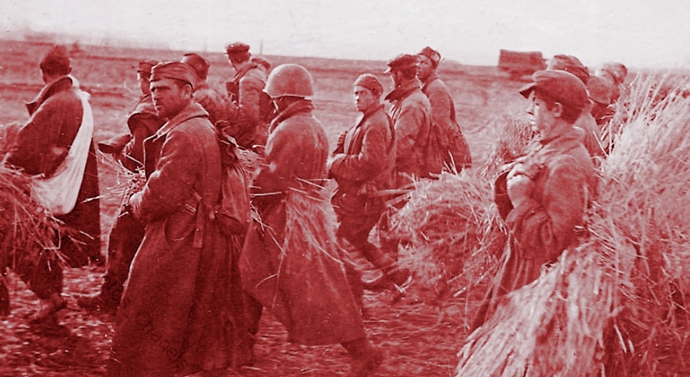 За что отца и сына в один день лишили звания Героя СССР? Какие неудобные факты вскрылись после окончания ВОВ