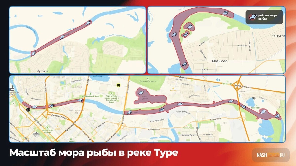    Карта с районами, в которых погибала рыба   nashgorod.ru