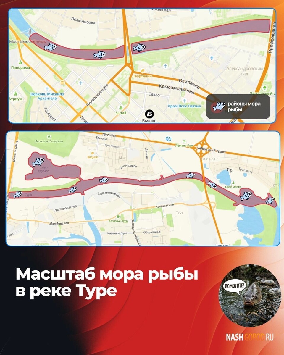    Карта с районами, в которых погибала рыба   nashgorod.ru