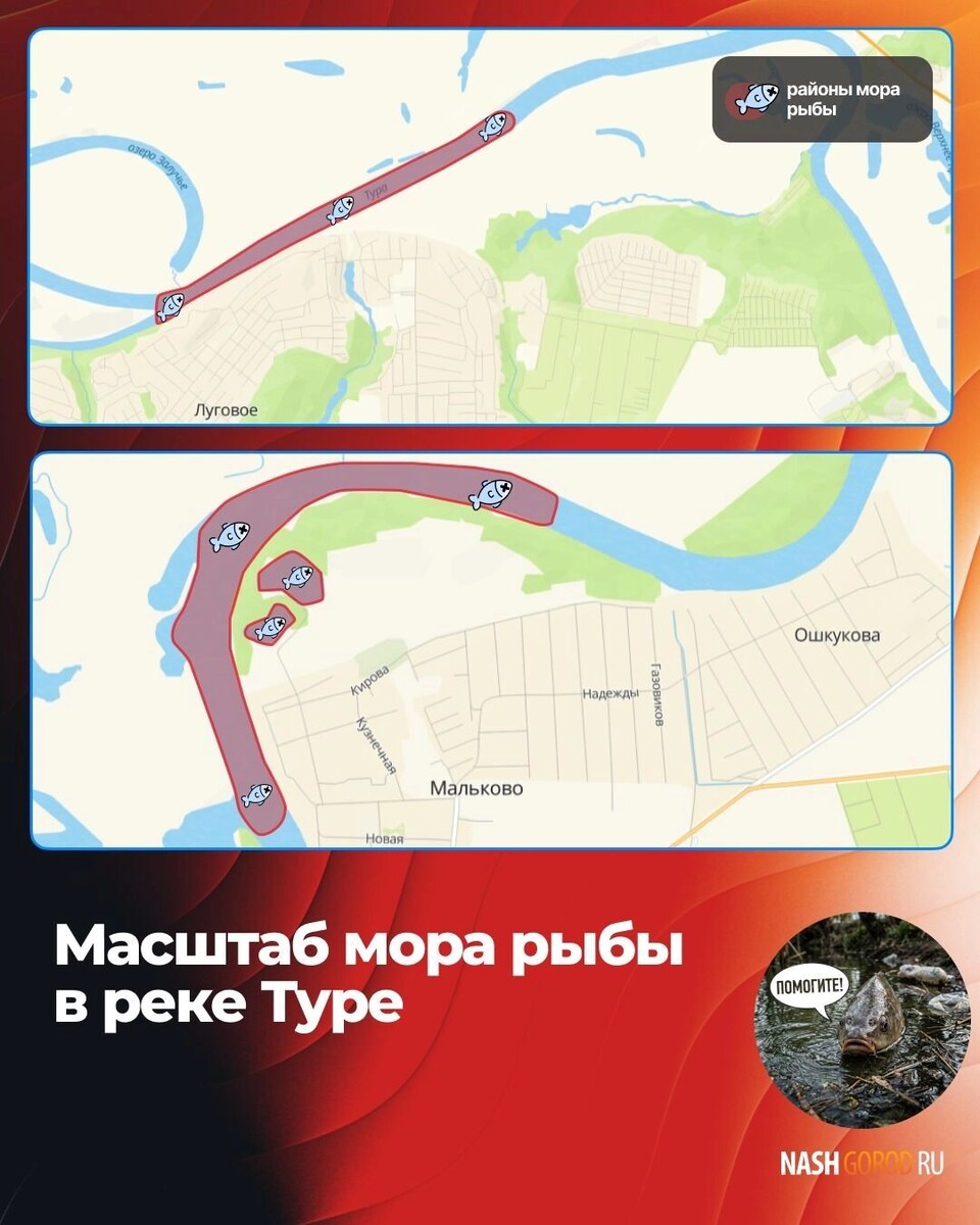    Карта с районами, в которых погибала рыба   nashgorod.ru
