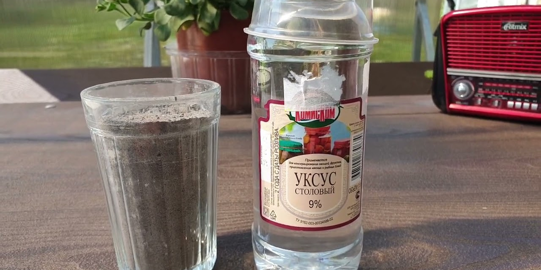 Хватит кормить «химией»! Простой секрет из золы и уксуса, который заставит томаты плодоносить до морозов