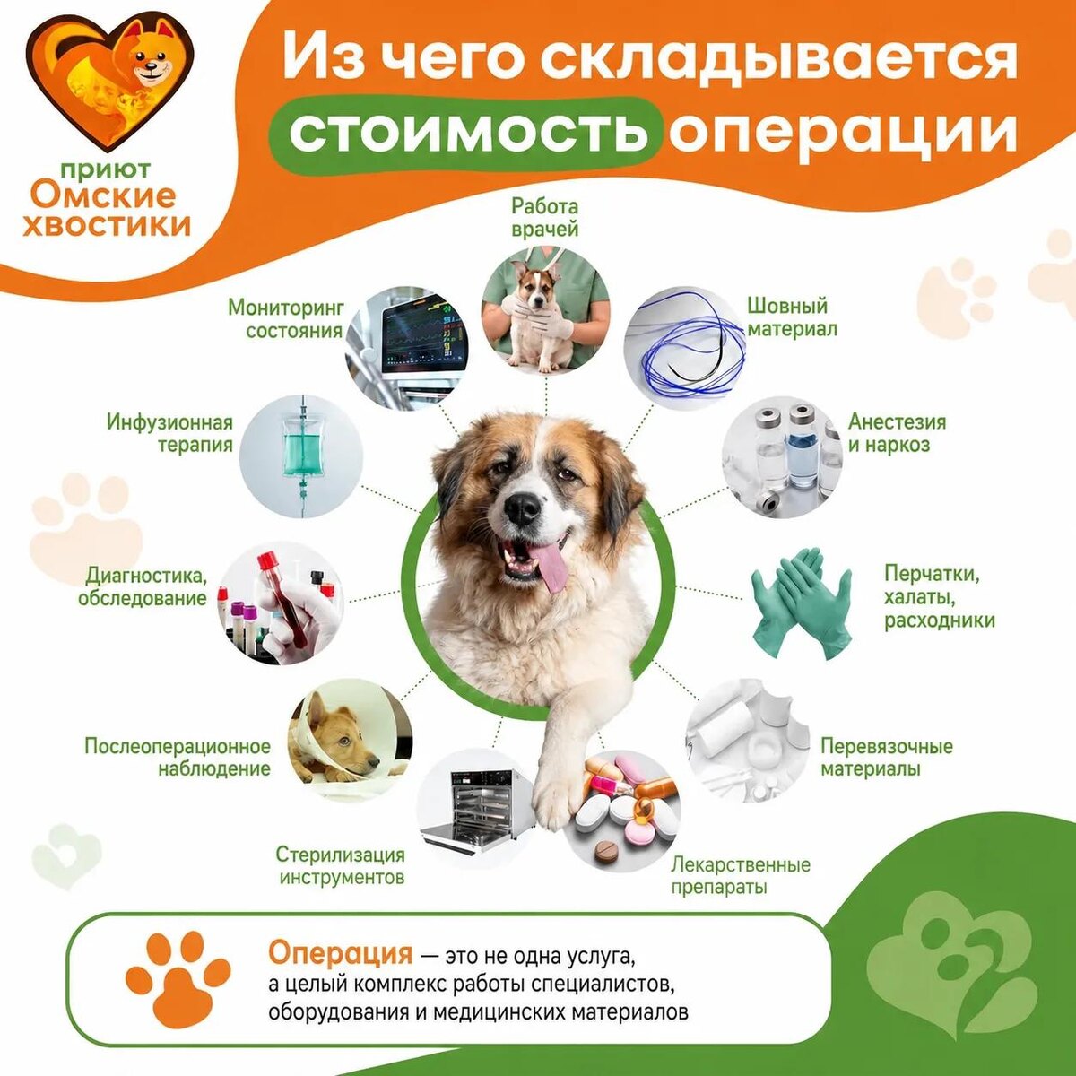 Операция для бездомного животного — это финал огромной цепочки.